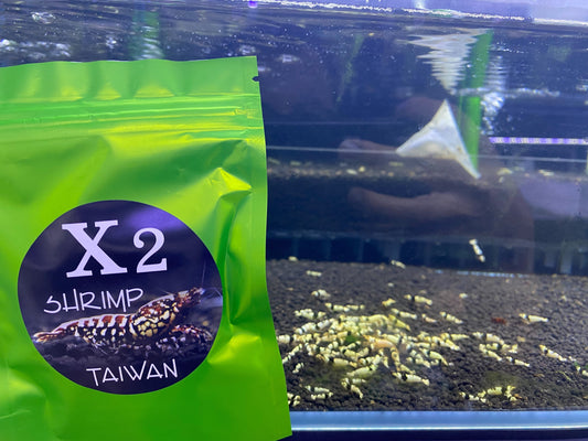 X2 Spirulina Tablets Shrimp Food 30 Grams