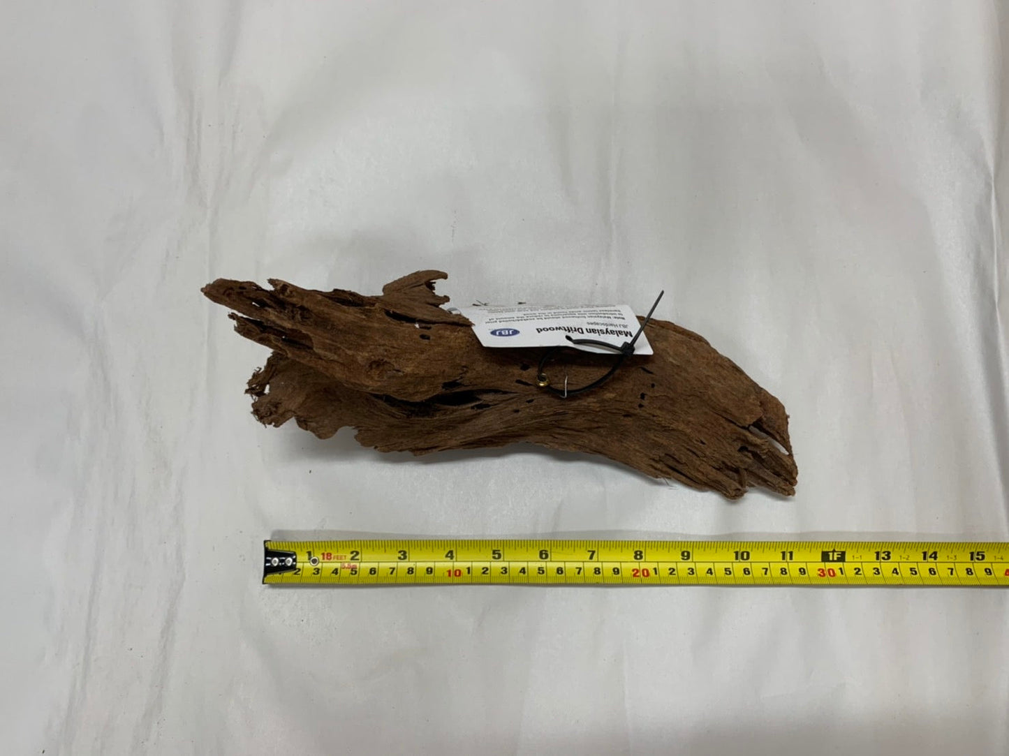 Malaysian Driftwood Small