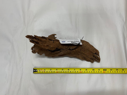 Malaysian Driftwood Small